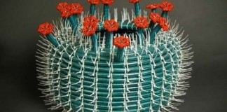 Hose Cactus –  Avoid Wasting Water! by Jewett