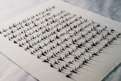 Read by Touch- Thorns on rice paper