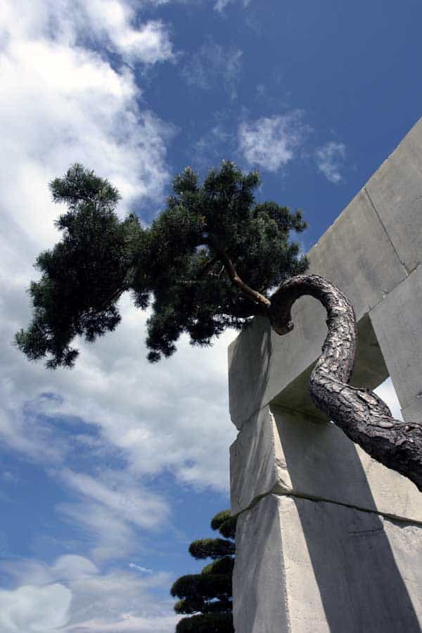 The Tree Museum of Zurich, Switzerland