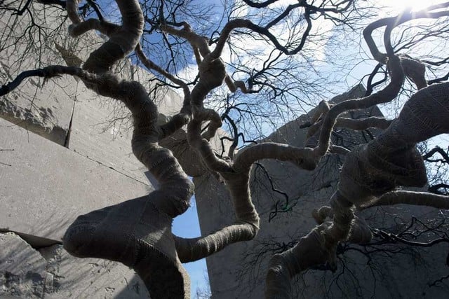 The Tree Museum of Zurich, Switzerland