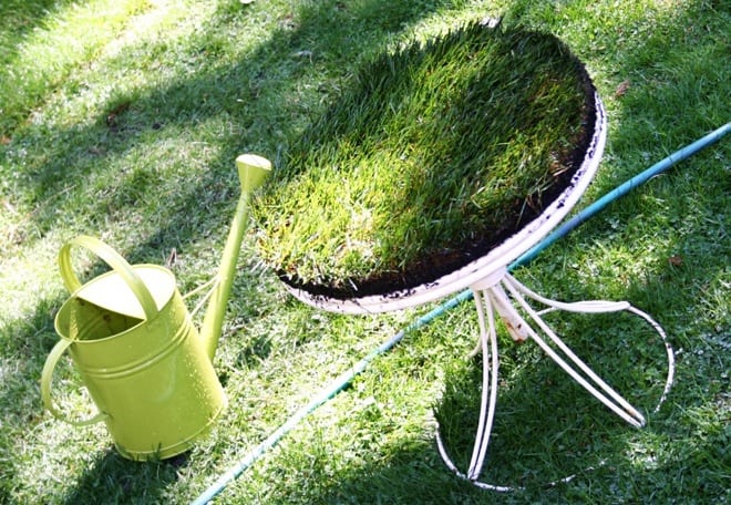 http://www.designrulz.com/wp-content/uploads/2012/02/grass-table-5.jpg