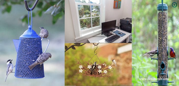 15 Top Best Bird Feeders That You Can Buy Right Now
